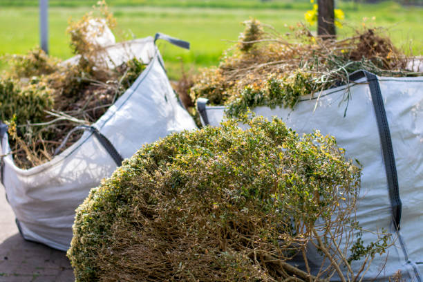 Best Yard Waste Removal  in Williamsburg, OH